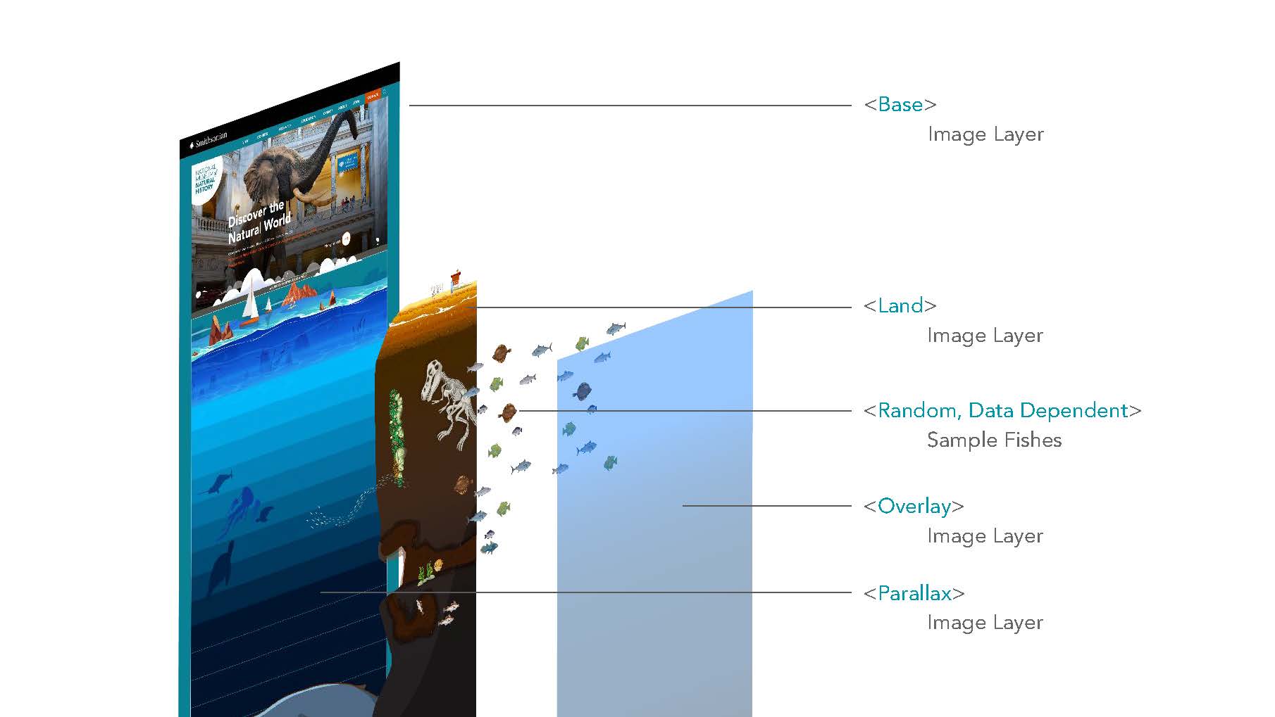 Sea of Life - Smithsonian Institution
